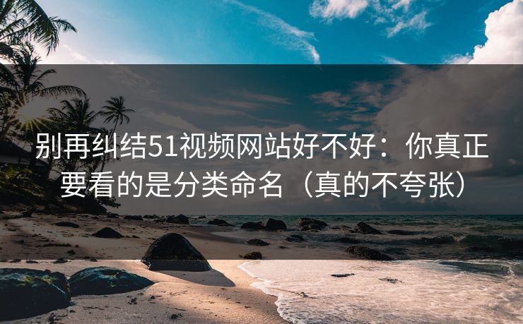 别再纠结51视频网站好不好：你真正要看的是分类命名（真的不夸张）